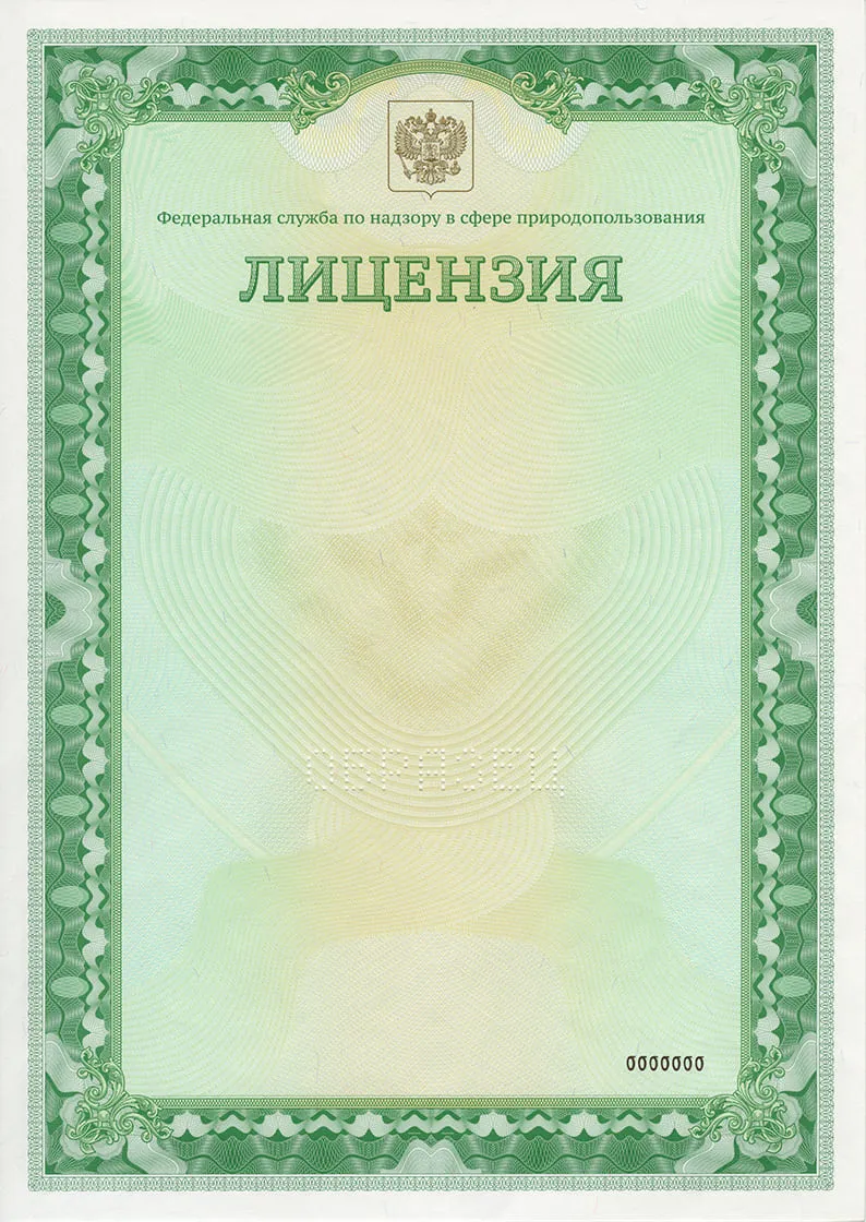 Сертификат 2